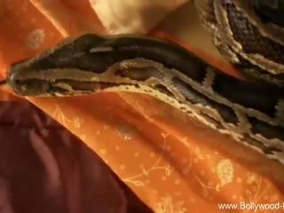 Bollywood Nudes: Petite lassie teasing with snake bollywood style
